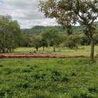 Haus mit sehr gro&szlig;em Grundst&uuml;ck im Bereich Jovera / Paraguay