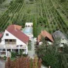 Haus mit Nebenh&auml;usern, Pool und Weinberg in Vinica / Slowakei