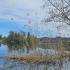 Gesucht 3-4 Zimmer Wohnung, Wangen an der Aare