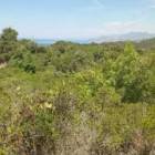 Ruinen Haus 53m2 Grund. 1400m2 Meer 5km, Kreis Ulcinj MNE